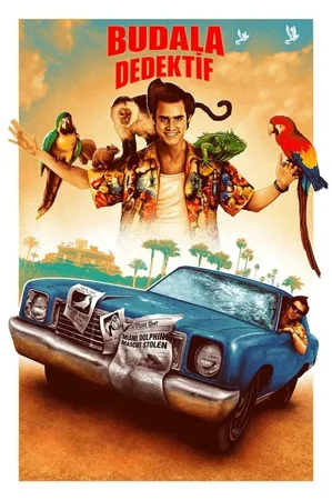 Budala Dedektif Afrika'da izle
