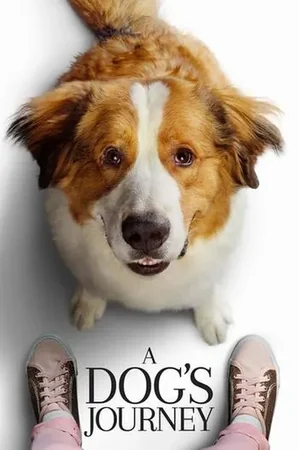 Dostumun Yolculuğu izle
